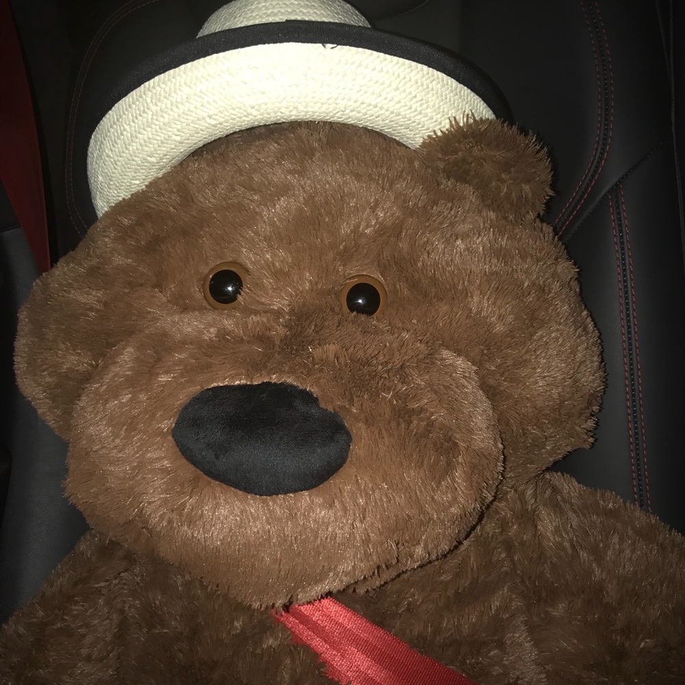 Meet your Posher, Shannon